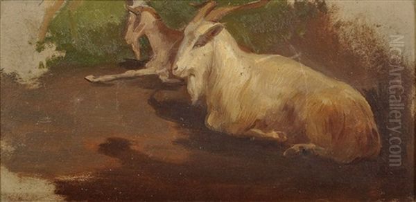 Zwei Ziegen, Ruhend (study) Oil Painting by Friedrich, the younger Preller