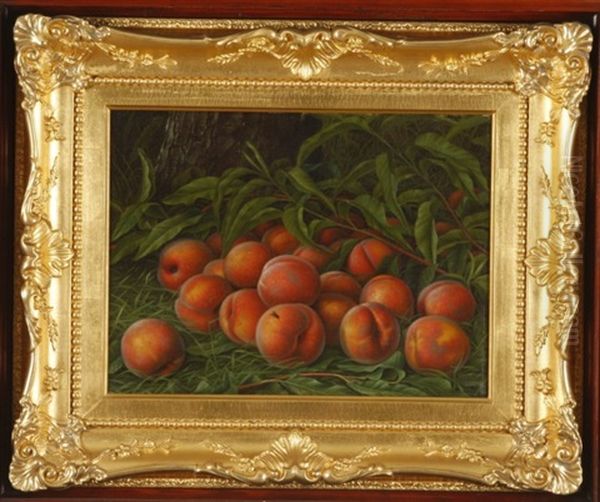 Peaches With Fly Oil Painting by Levi Wells Prentice
