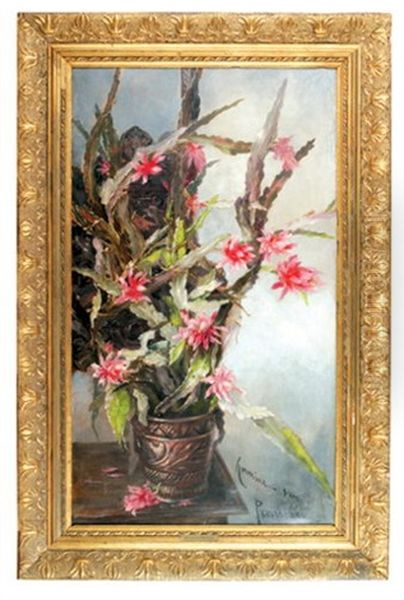 Kwitnace Kaktusy Oil Painting by Hermione von Preuschen