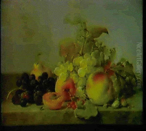 A Still Life Of Fruit And Nuts On A Marble Ledge Oil Painting by Johann Wilhelm Preyer