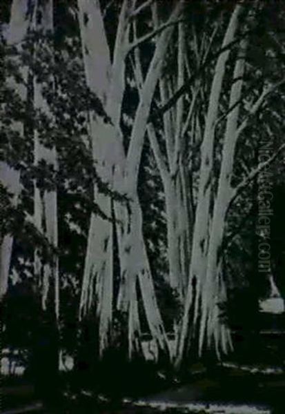 Park Oil Painting by Heinz Prochazka