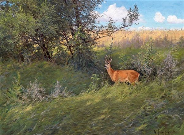 Rehbock In Einer Sommerlandschaft Oil Painting by Dimitri Von Prokofiev