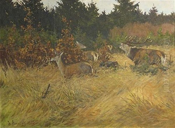 A Stag With Does In A Meadow Oil Painting by Dimitri Von Prokofiev