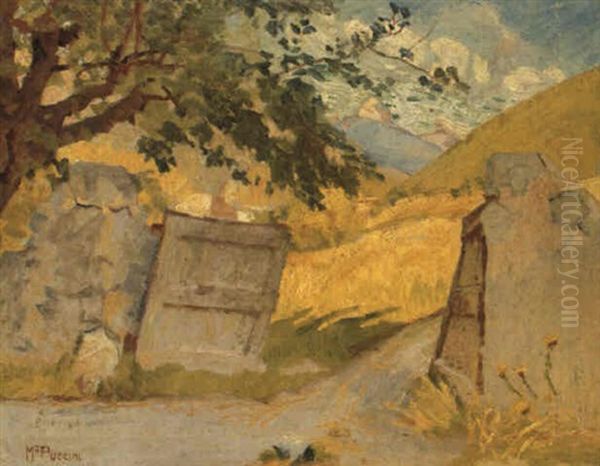 Cancellino A Digne Oil Painting by Mario Puccini