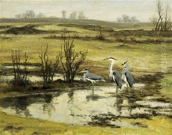 Reiher In Einer Sumpflandschaft Oil Painting by Viktor Pucinski