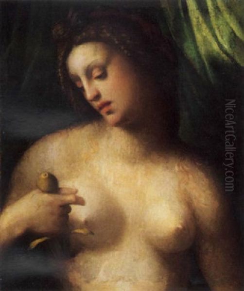 Lucrezia Oil Painting by Domenico Puligo