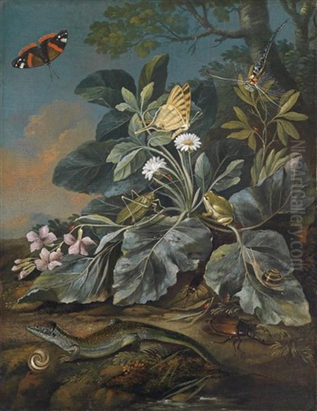 Ein Waldbodenstillleben Mit Wiesenblumen, Pilzen, Insekten, Eidechsen Und Schnecken Oil Painting by Franz Michael Sigmund von Purgau