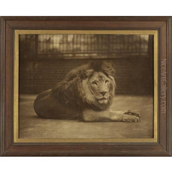 Majesty Oil Painting by Gambier Bolton