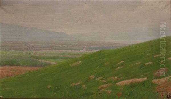 Panorama Auf Palermo Oil Painting by Domenico Quattrociocchi