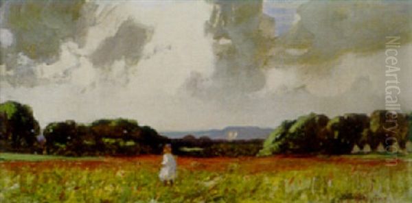 Girl In A Meadow Oil Painting by James Peter Quinn