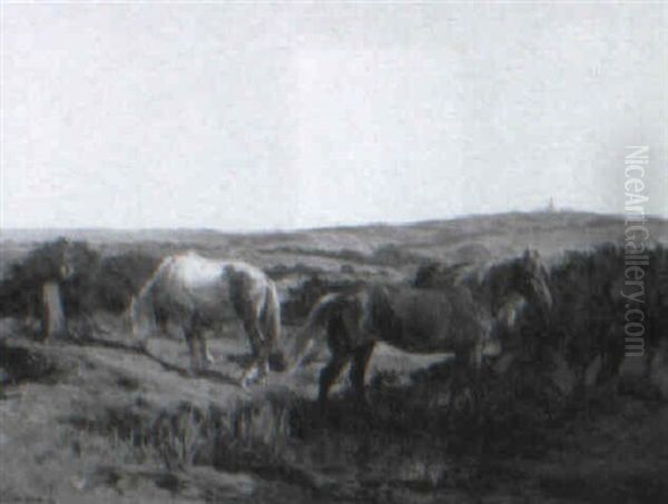 Horses Grazing Oil Painting by Clement (Charles-Henri) Quinton