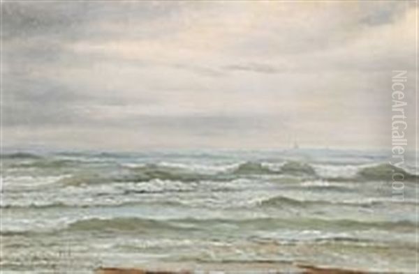 View From Skagen Strand Oil Painting by Peter Johann Raadsig