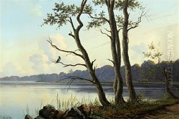 Scenery From The Brink Of A Lake With A Crow In A Tree Oil Painting by Peter Johann Raadsig
