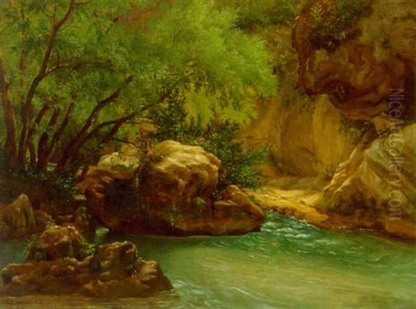 Frodig Vegetation Ved Klippeso Oil Painting by Peter Johann Raadsig