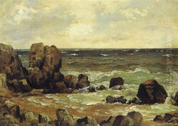 Fra Kullen Oil Painting by Peter Johann Raadsig