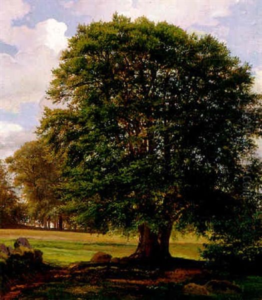 Prachtvolle Eiche Im Abendlichen Gegenlicht Oil Painting by Peter Johann Raadsig