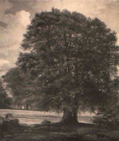 Die Schone Buche Oil Painting by Peter Johann Raadsig