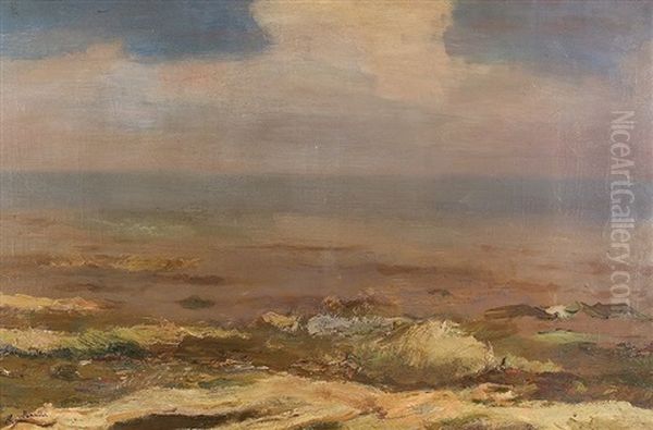 Kustenlandschaft Oil Painting by Marinus Van Raalte