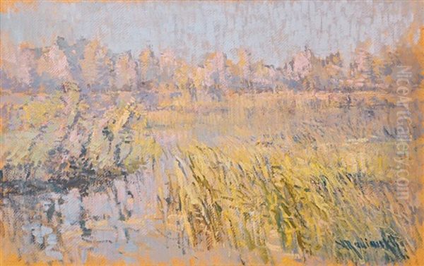 Dawn Oil Painting by Vaclav Radimsky