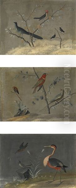Exotic Birds In Landscapes: A Set Of Three Paintings Oil Painting by Carlo Antonio Raineri
