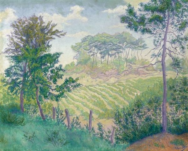 Le Champ De Vigne Ou Les Vignobles Sous Les Pins Ou Paysage D'ete Oil Painting by Paul Elie Ranson