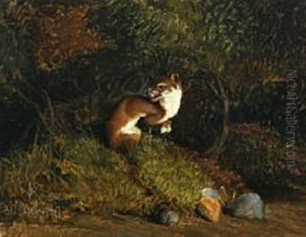 A Marten On The Forest Floor Oil Painting by Niels Pieter Rasmussen