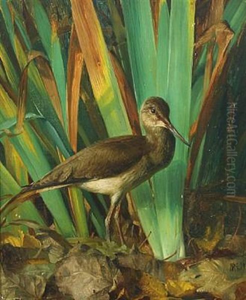 A Female Ruff Oil Painting by Niels Pieter Rasmussen