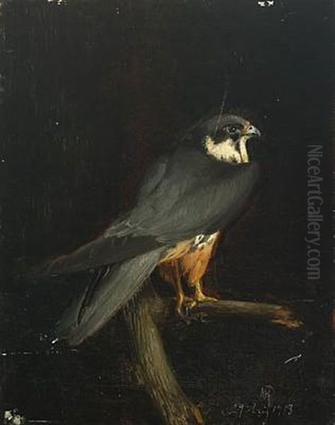 Eurasian Hobby Oil Painting by Niels Pieter Rasmussen