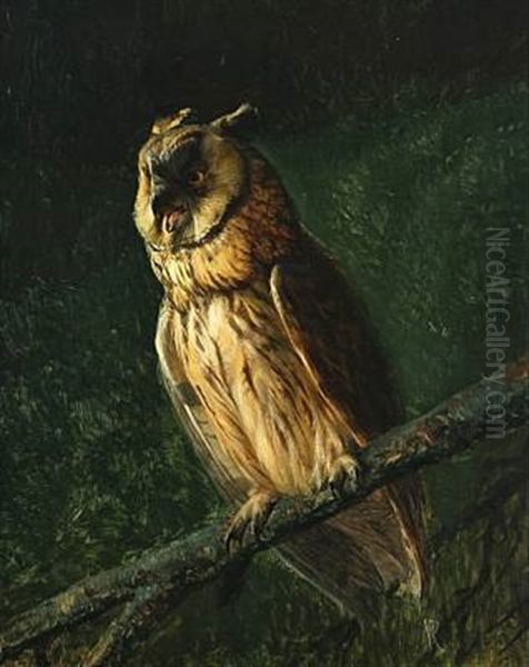 An Owl On A Branch Oil Painting by Niels Pieter Rasmussen