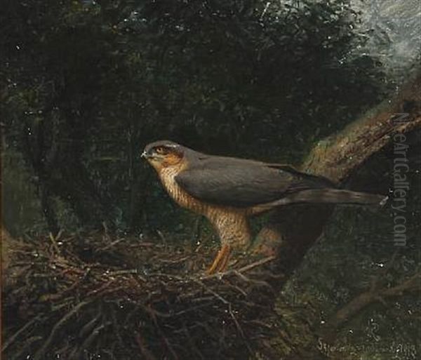 An Goshawk In Its Nest Oil Painting by Niels Pieter Rasmussen