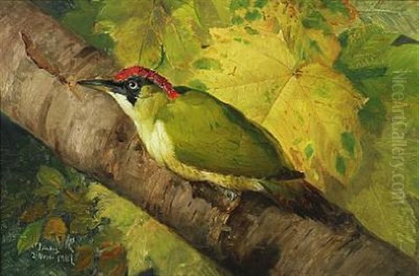 Green Woodpecker On A Branch Oil Painting by Niels Pieter Rasmussen