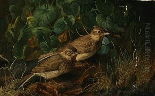 Two Sparrows In A Forest Floor Oil Painting by Niels Pieter Rasmussen