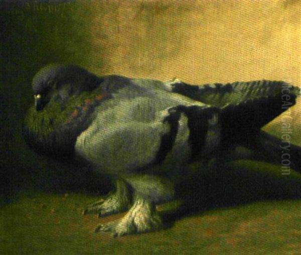 Pigeon Oil Painting by Niels Pieter Rasmussen