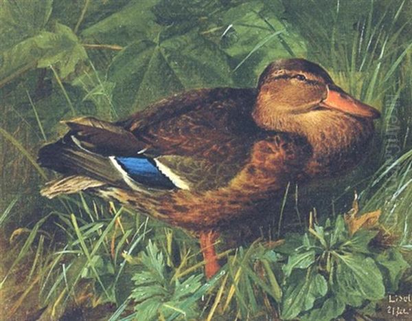 And I Skovbunden Oil Painting by Niels Pieter Rasmussen