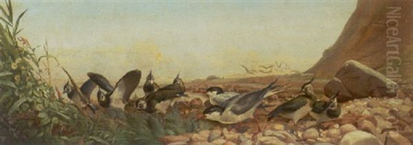 Kystparti Med Viber Og Terner Oil Painting by Niels Pieter Rasmussen