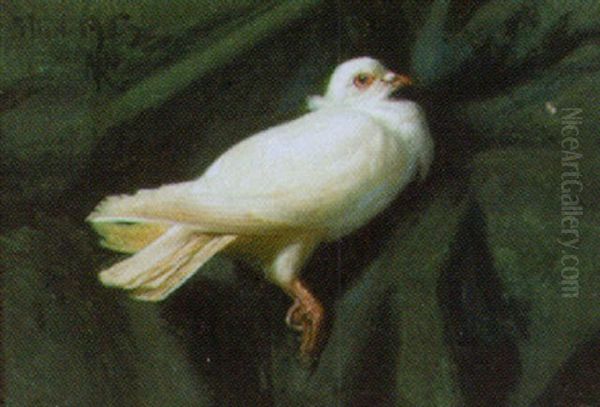 Hvid Due Oil Painting by Niels Pieter Rasmussen