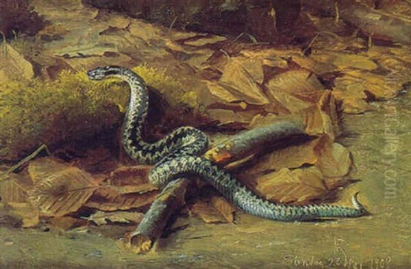 Le Serpent Oil Painting by Niels Pieter Rasmussen