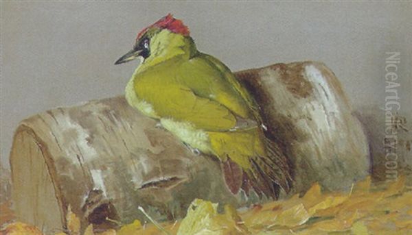 Flagspaette Oil Painting by Niels Pieter Rasmussen