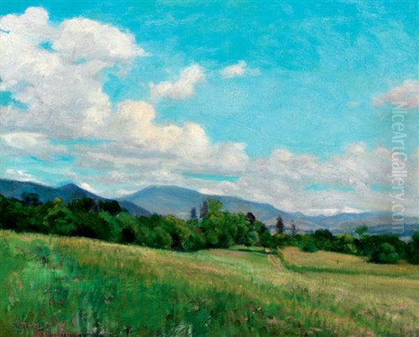 Sunny Landscape In Nagybanya Oil Painting by Peter Ratz