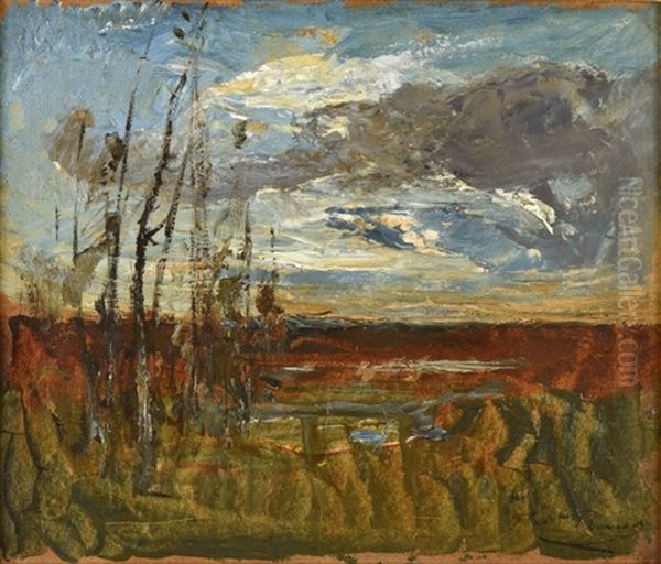 Marais Pres De Morestel Au Soleil Couchant Oil Painting by Auguste Francois Ravier