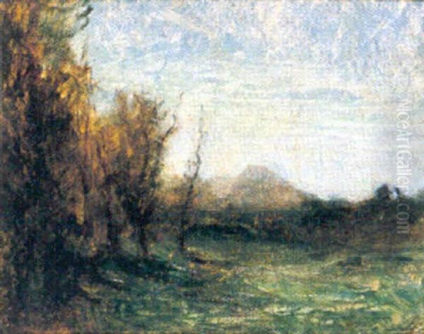 Paysage Au Bouquet D'arbres Oil Painting by Auguste Francois Ravier