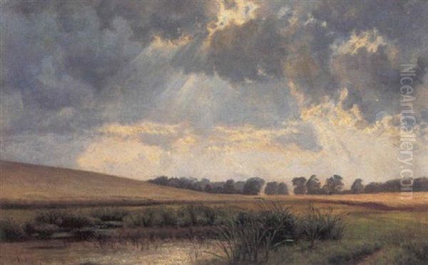 Engparti Med Sollys Gennem Skyerne Oil Painting by Louise Christiane Ravn-Hansen