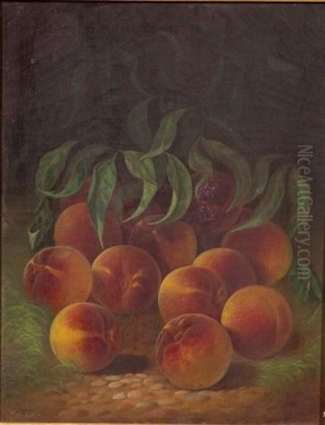 Still Life With Peaches Oil Painting by Carducius Plantagenet Ream