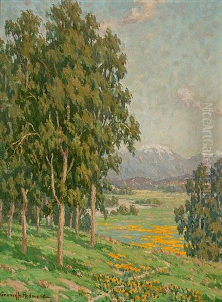 California Wildflowers And Distant Snow-capped Mountains Oil Painting by Granville S. Redmond