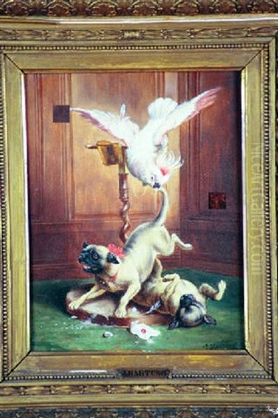 A Cockatoo Biting The Tail Of A Dog Oil Painting by Carl Reichert