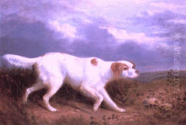 Setter On The Moor Oil Painting by Philipp Reinagle