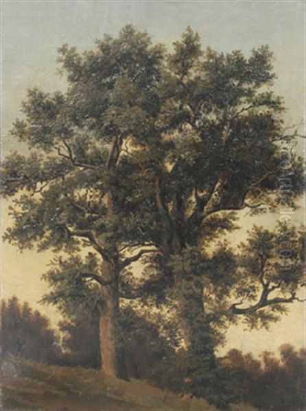 Zwei Grose Laubbaume An Einem Hang Oil Painting by Friedrich Philipp Reinhold