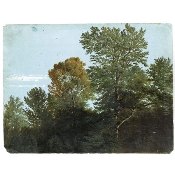 A View Of Woodland Oil Painting by Heinrich Reinhold