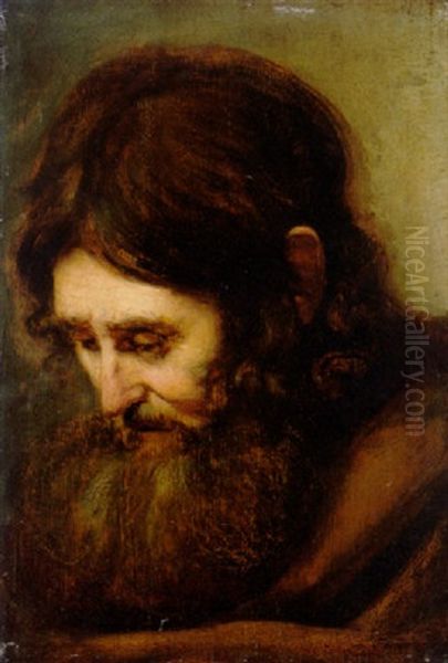 A Bearded Man Oil Painting by Harmenszoon van Rijn Rembrandt