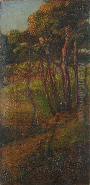 Pineta Oil Painting by Renuccio Renucci